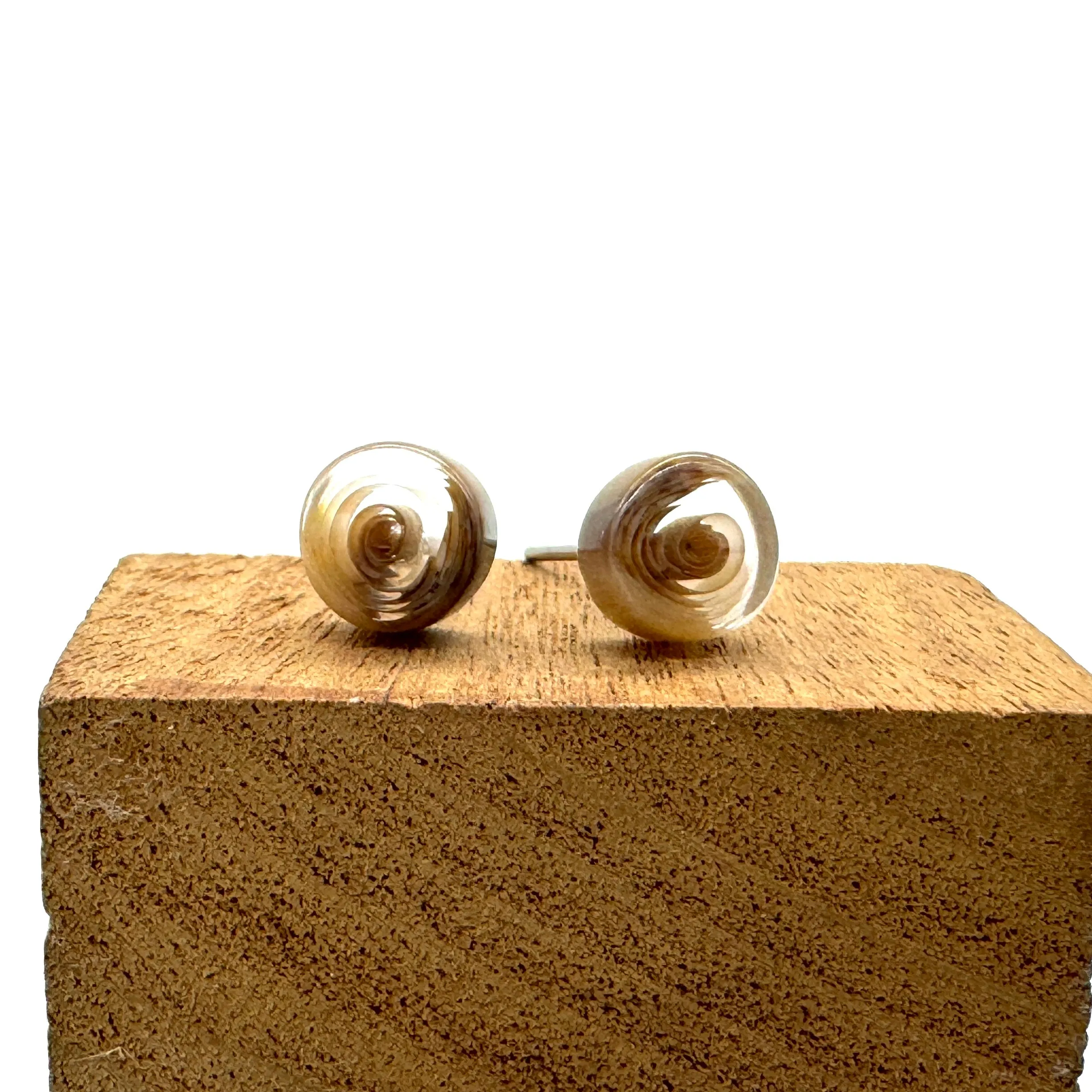 Beige & Brown Swirl Stud Earrings