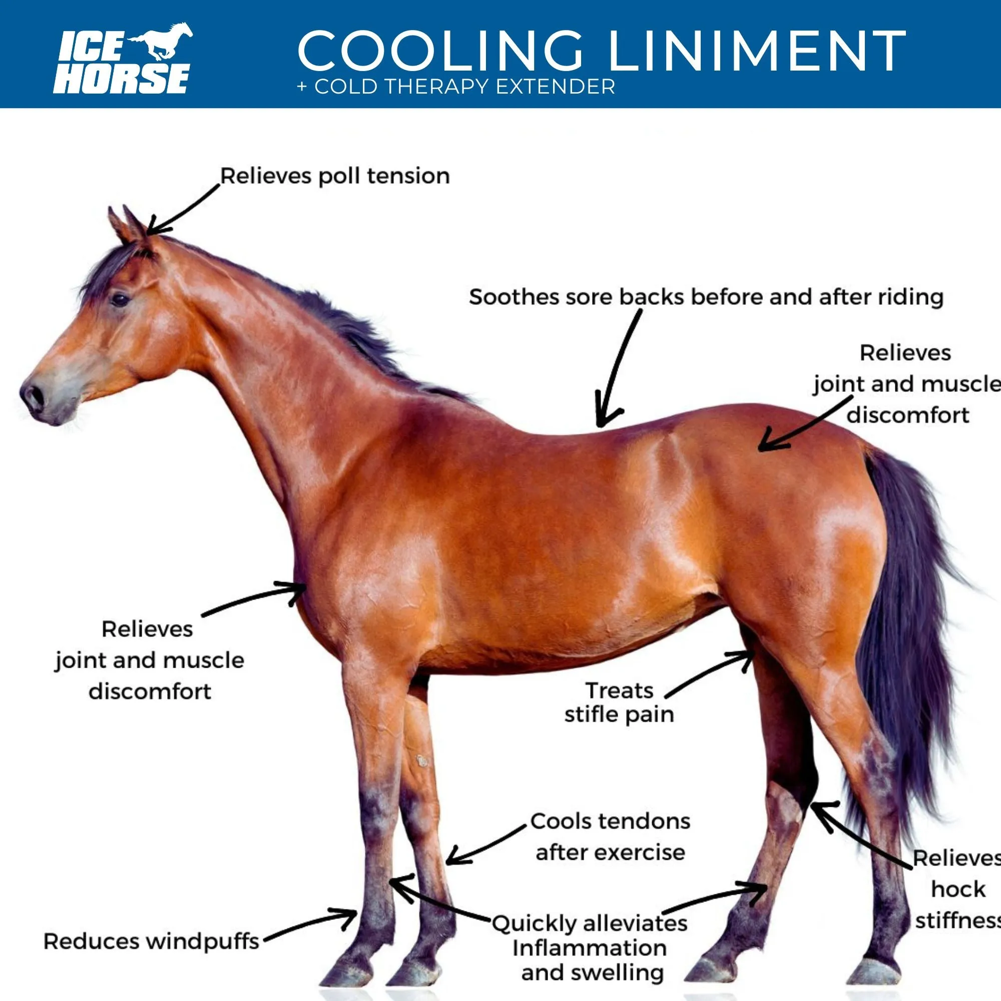 Cooling Liniment and Cold Therapy Extender