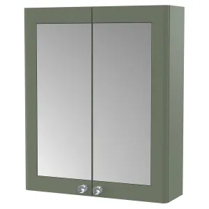 Nuie Classique 600 mm 2 Door Mirrored Bathroom Cabinet in Green