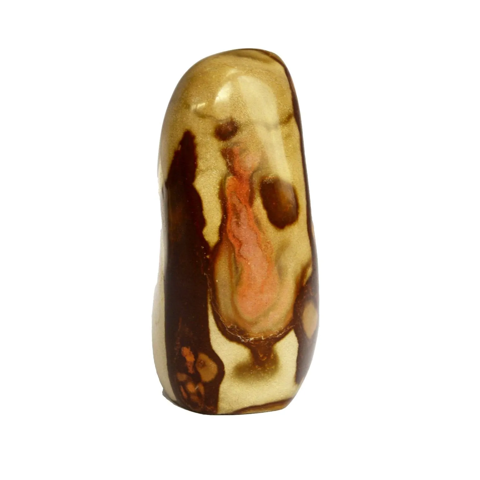 Venus Polychrome Jasper